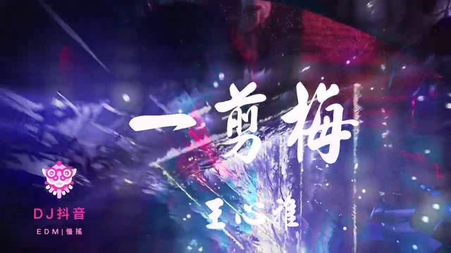 【抖音EDM】王心雅 - 一剪梅 _ REMIX _ DJ _ 慢搖 _ 舞曲 _ DJ _ TIKTOK _ 重鼓版_ EDM [無歌詞x高音質] ♬DJK8♬ смотреть онлайн