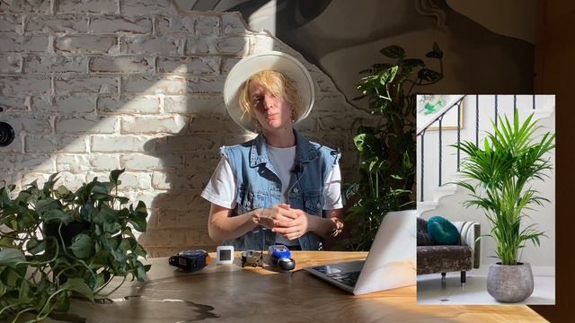 Как выбрать растение домой? смотреть онлайн