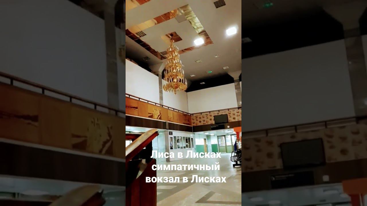Лиса в Лисках... Симпатичный вокзал в Лисках... #shorts #youtube