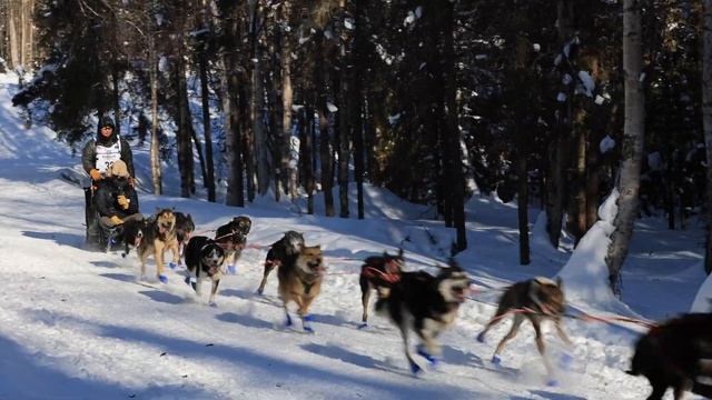 Iditarod 2023 смотреть онлайн