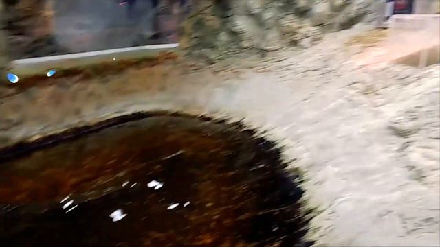 Океанариум, музей живой морской природы / Oceanarium смотреть онлайн