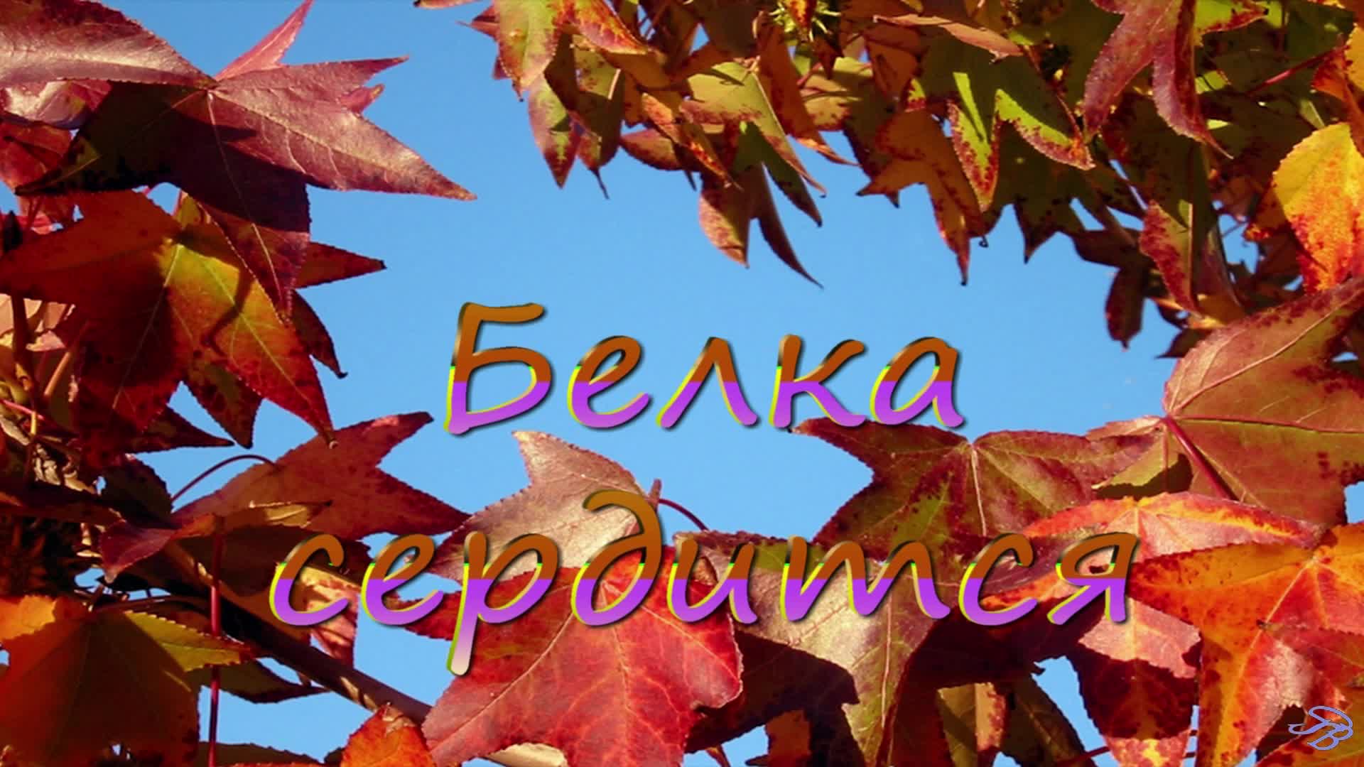 Белка сердится. 2,7К.. смотреть онлайн