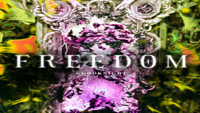 Goodknight. - Freedom
