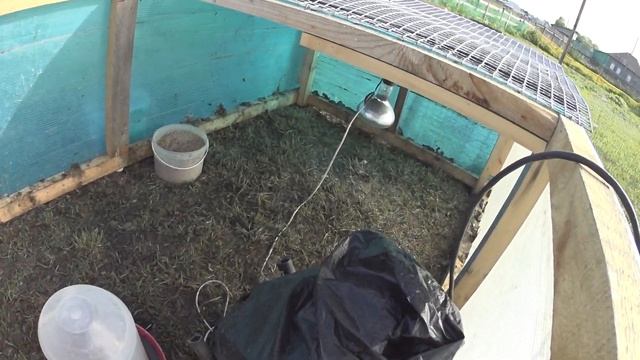 Тёплая клетка для гусят смотреть онлайн