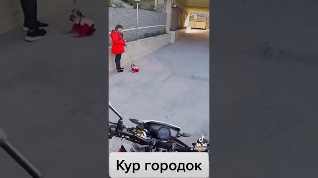 Husqvarna Nuda 900 / Nuda 900R