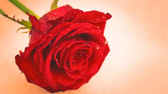 Новая, Это Безумно Красивая Мелодия, Затрагивающая Самые Сокровенные Уголки Души! Сергея Чекалина смотреть онлайн