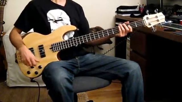 Tool - Intension (Bass Cover)
