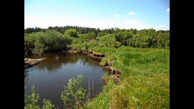 Как я немного заблудился в лесу неподалеку смотреть онлайн