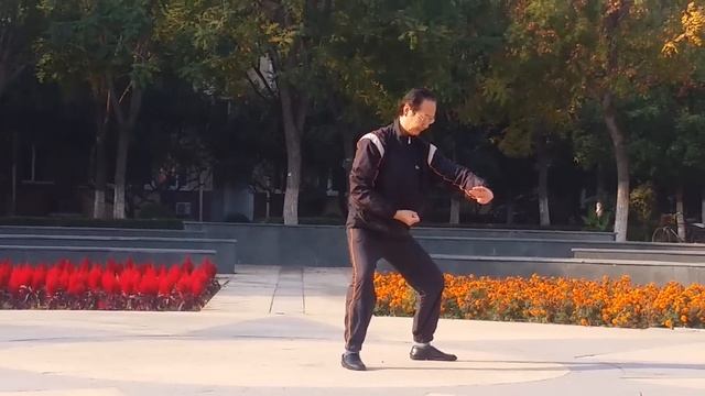 Shifu Pan Houcheng, 24 Forms Of Hunyuan Taiji