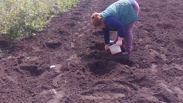 посадка тыквы и кукурузы смотреть онлайн