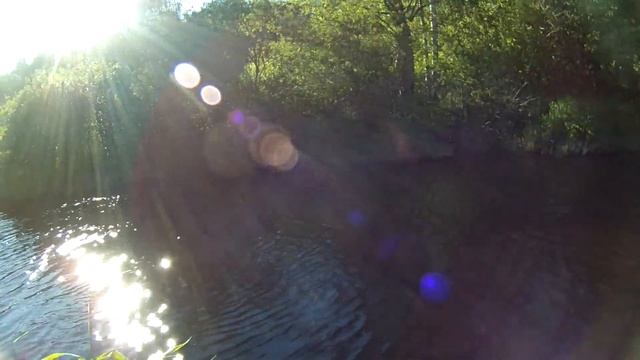 Река Морье. Рыбалка 16 июня 2021. смотреть онлайн