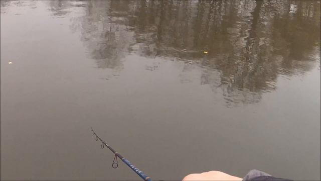FishComm Shop. Kosadaka Raven XS 55F и форель смотреть онлайн