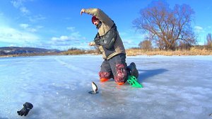 Ловля сороги и уклейки весной со льда