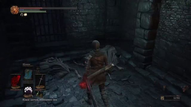 Dark Souls 3: Спасение Сигварда из тюрьмы и Золотое кольцо жадного змея смотреть онлайн