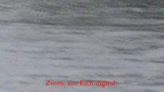 JVC GZ-HM845BE Zoom- & Videomoditest vom Verbraucher смотреть онлайн