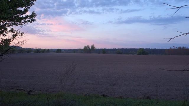 Утреннее Поле. Весна. Картинка Природы смотреть онлайн