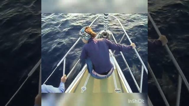 Dolphins, Atlantic Ocean. Атлантический океан, дельфины смотреть онлайн