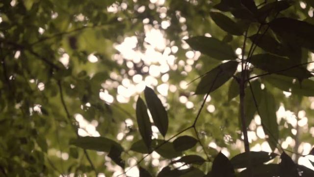 солипсизм и я: Official Trailer