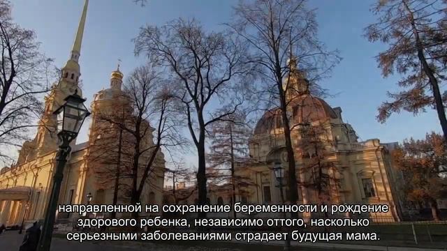 В Ленинградской области появится первый перинатальный центр смотреть онлайн