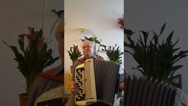 Популярная латино-американская мелодия.