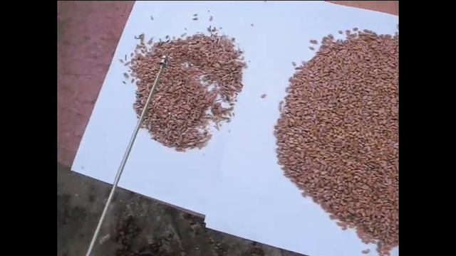 УЗК - видео 2 смотреть онлайн