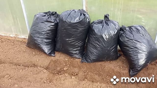 Компост из опавших листьев ??? Витаминная сокровищница? смотреть онлайн