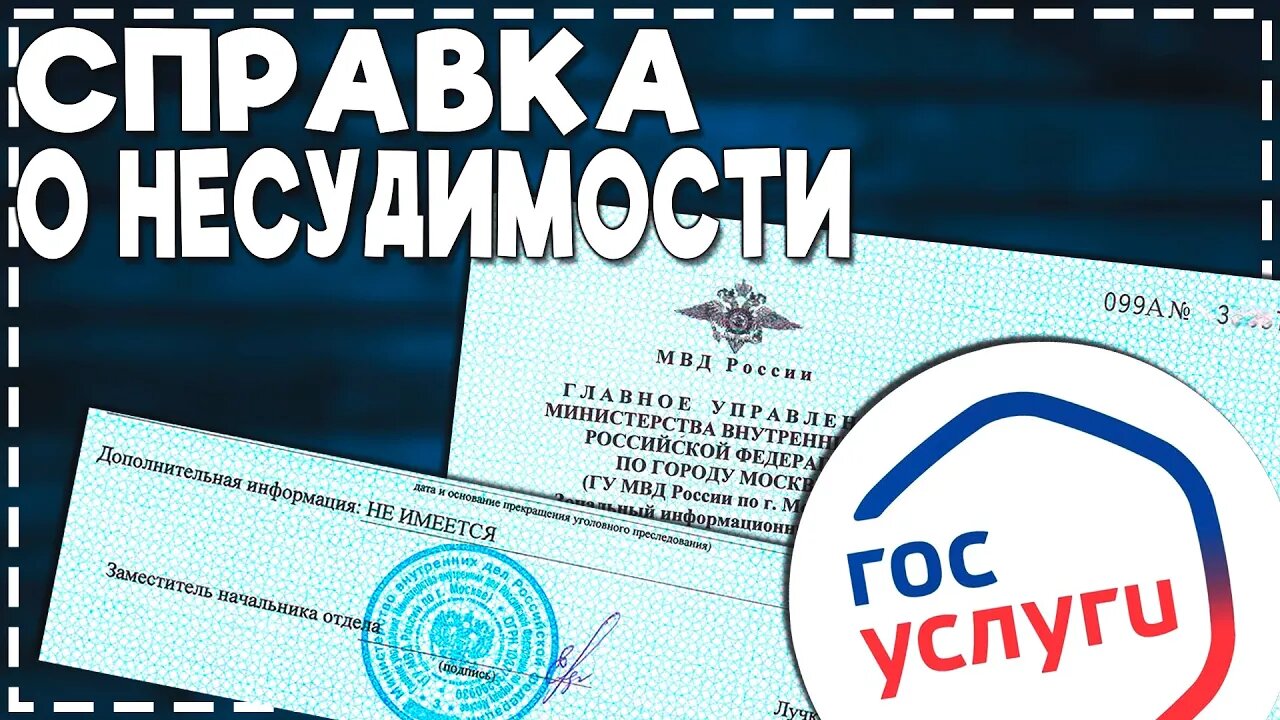 Как на Госуслугах заказать справку о Несудимости 2024 смотреть онлайн