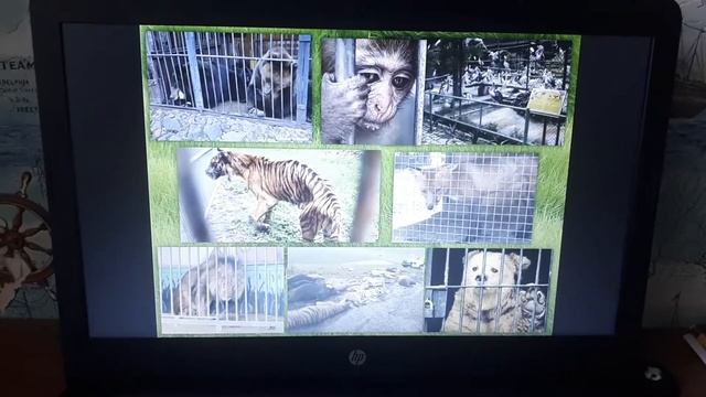 Влияние человека на окружающую среду. смотреть онлайн