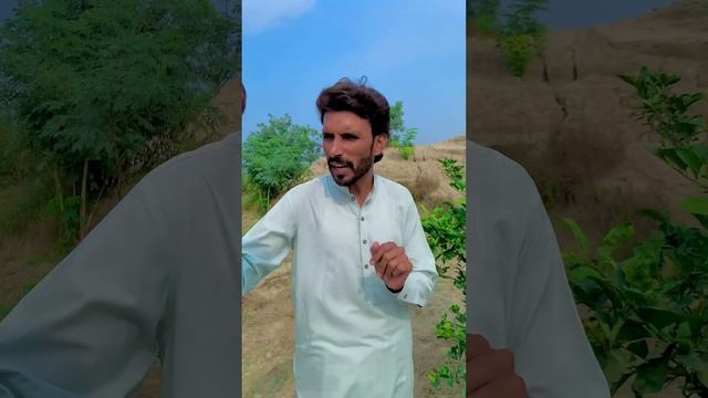 Passy Denay Wala Darakh?The Money Tree?Don’t Miss End?Munda Dehati Fb смотреть онлайн