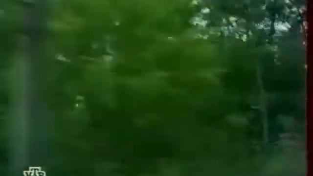 Чернобль мутация людей смотреть онлайн