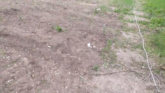 ВСЕ РЕАЛЬНО, ГЛАВНОЕ ВЕРИТЬ!!! смотреть онлайн