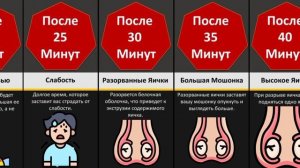 Если Бы Вас Пинали по Яйцам Каждый День
