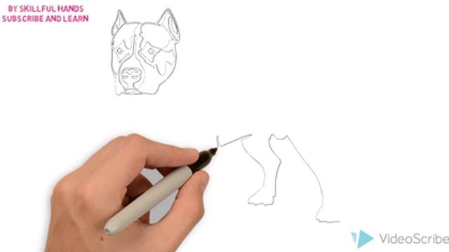 How to Draw a Pit bull / Как нарисовать Питбуля смотреть онлайн