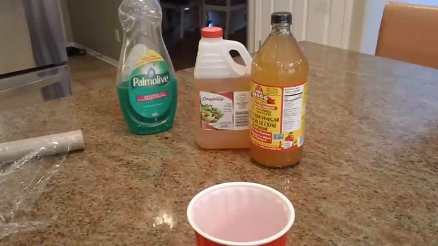 The Best Home Made Fruit Fly Trap (with proof) смотреть онлайн