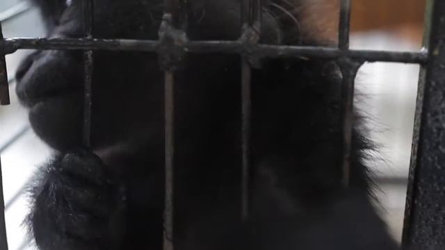 Умар и его экзотика смотреть онлайн