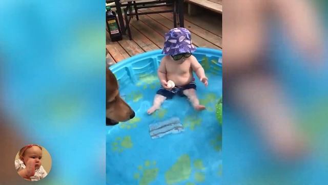 Смешное видео вызов ★ Забавный ребенок играет в воде с собакой героем смотреть онлайн