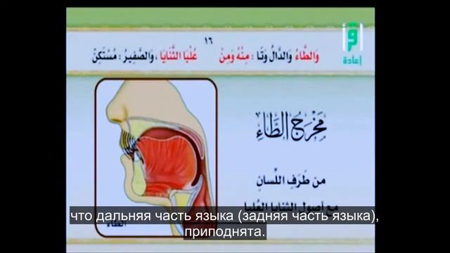 Айман Сувейд 13 Буквы ت , د , ط субтитрами на русском смотреть онлайн