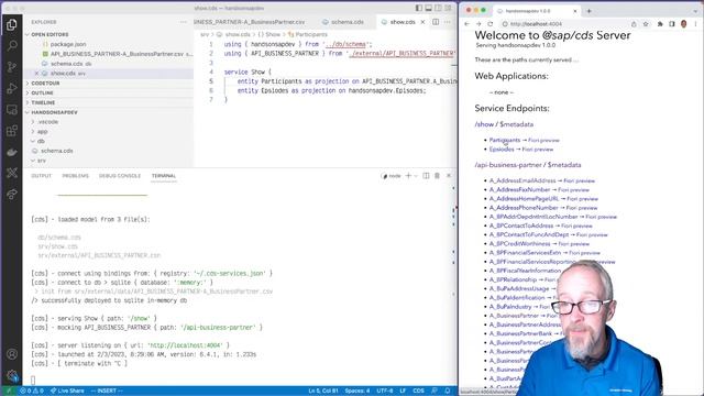 Integrating an external API into an SAP Cloud Application Programming Model service смотреть онлайн