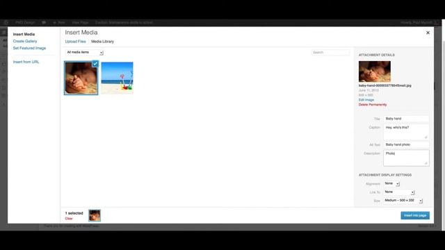 How to Upload Images into a WordPress page or post - WordPress Tutorial смотреть онлайн