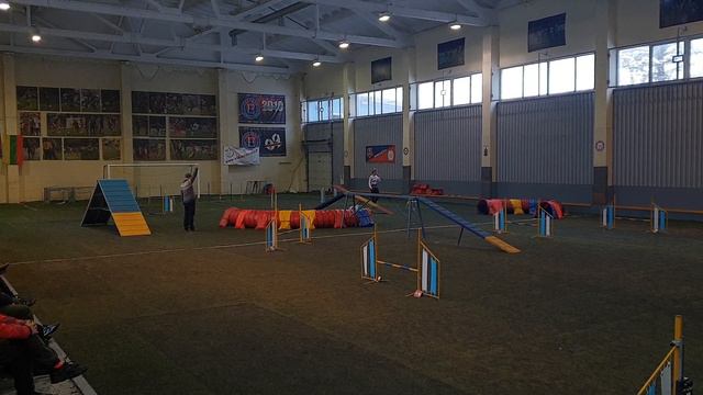 Toby (Kilimanjaro de l'Almozara) - Open Agility, Panevezys смотреть онлайн