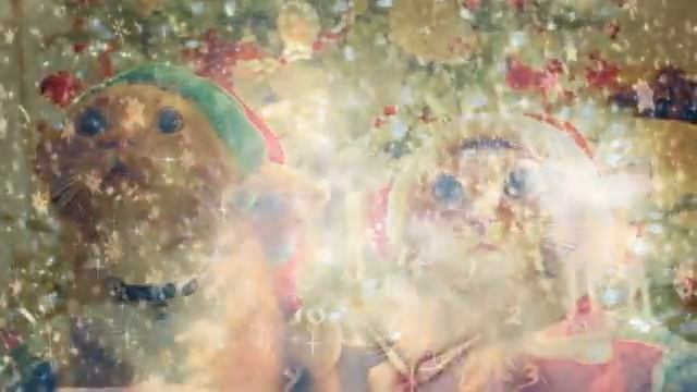 Когда в дом входит год молодой смотреть онлайн