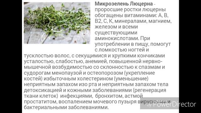 микрозелень плюс аэропоника смотреть онлайн