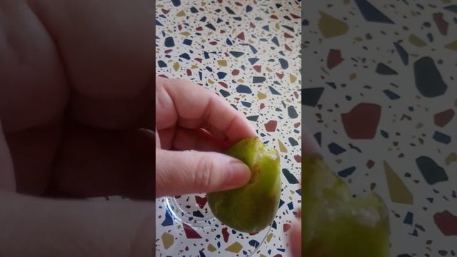 Инжир съедобный или нет. Как отличить? смотреть онлайн