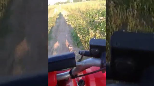 Катание на квадроцикле # 2 смотреть онлайн