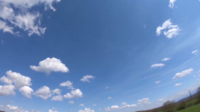 Cover sax "Аллилуя" (david sax the Best) смотреть онлайн