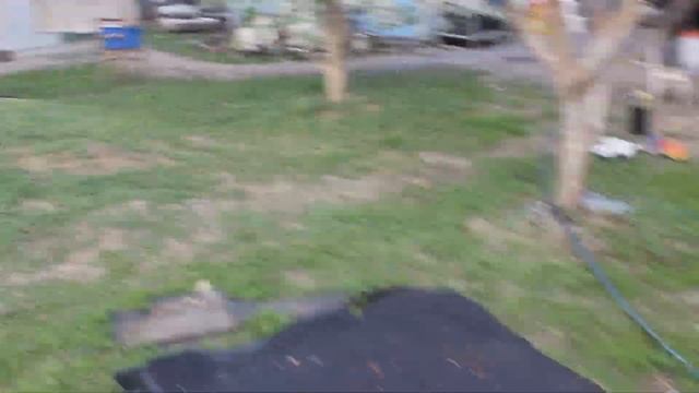 цветы сакуры или вишня зацвела и другие деревья. смотреть онлайн