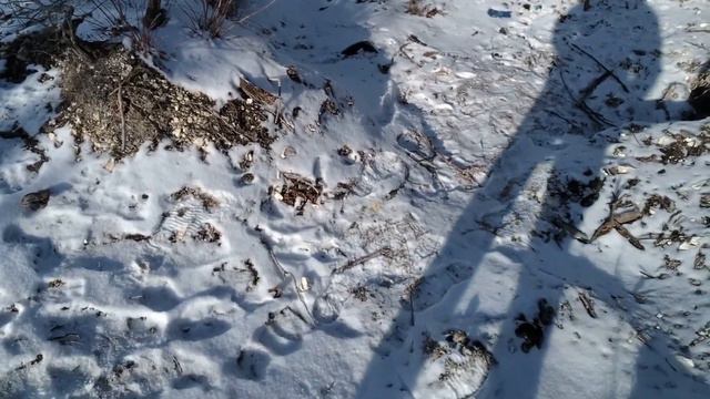 В Святогорск через Богородичное 20.02.21 смотреть онлайн