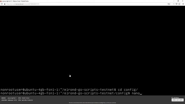 How to Setup Elrond Testnet Observer in 10 minutes смотреть онлайн