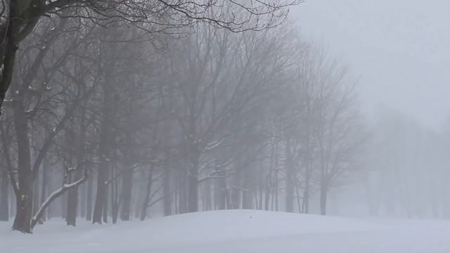 Стареют не только от прожитых лет /стихи Юлии Друниной/ смотреть онлайн