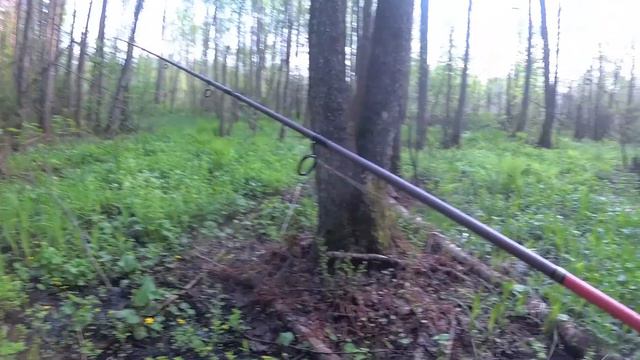 Рыбалка на лесной реке, водохранилище, мертвый СОМ. смотреть онлайн